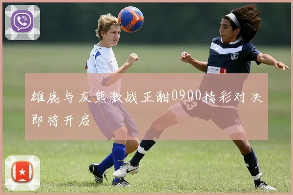 雄鹿与灰熊激战正酣0900精彩对决即将开启