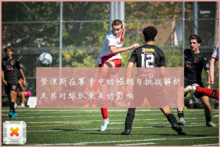 努涅斯在赛季中的崛起与挑战解析及其对球队未来的影响