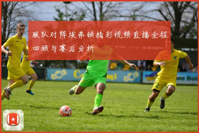 狼队对阵埃弗顿精彩视频直播全程回顾与赛后分析