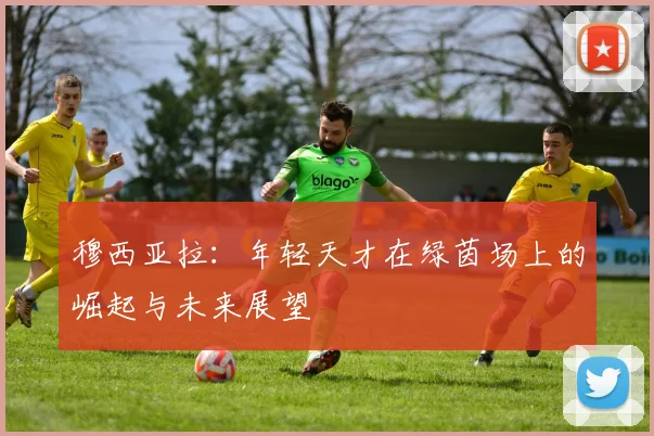 穆西亚拉：年轻天才在绿茵场上的崛起与未来展望